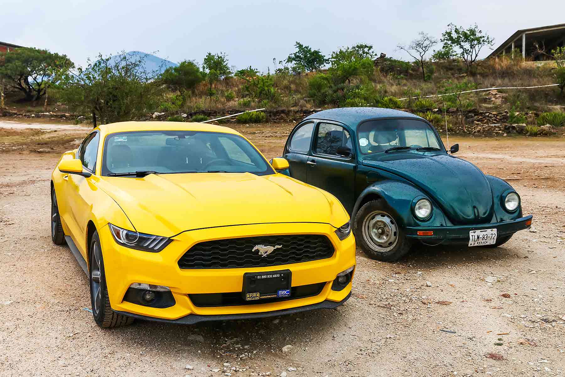 Ford and Volkswagen icons