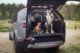 Land Rover Pet Packs