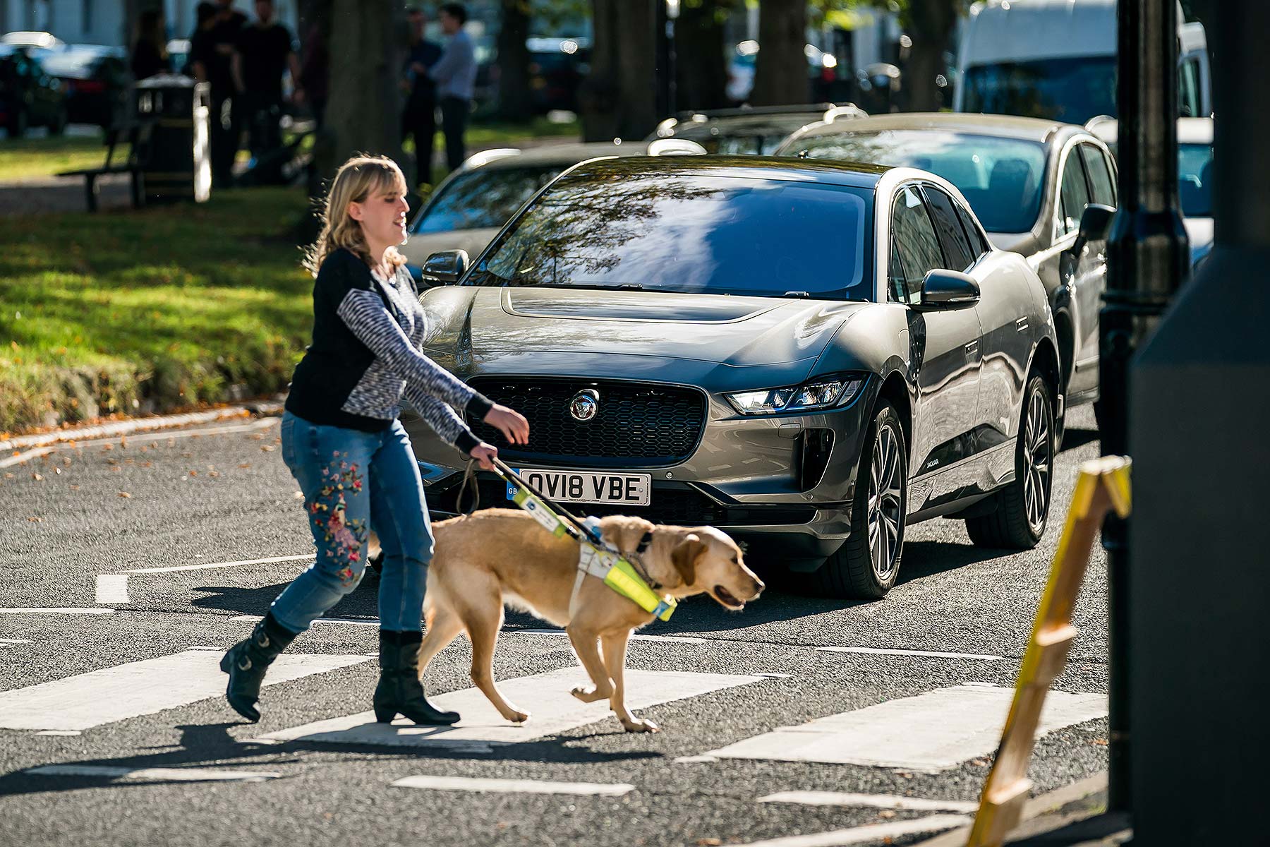 Jaguar I-Pace AVAS and Guide Dogs for the Blind
