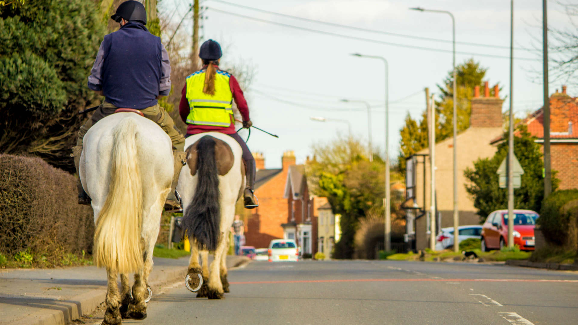 How to pass horses safely on the road