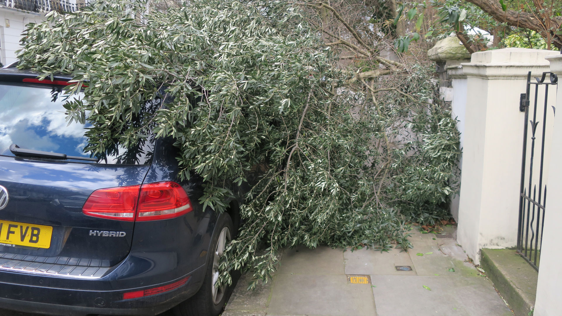 VW damaged by tree after strong winds