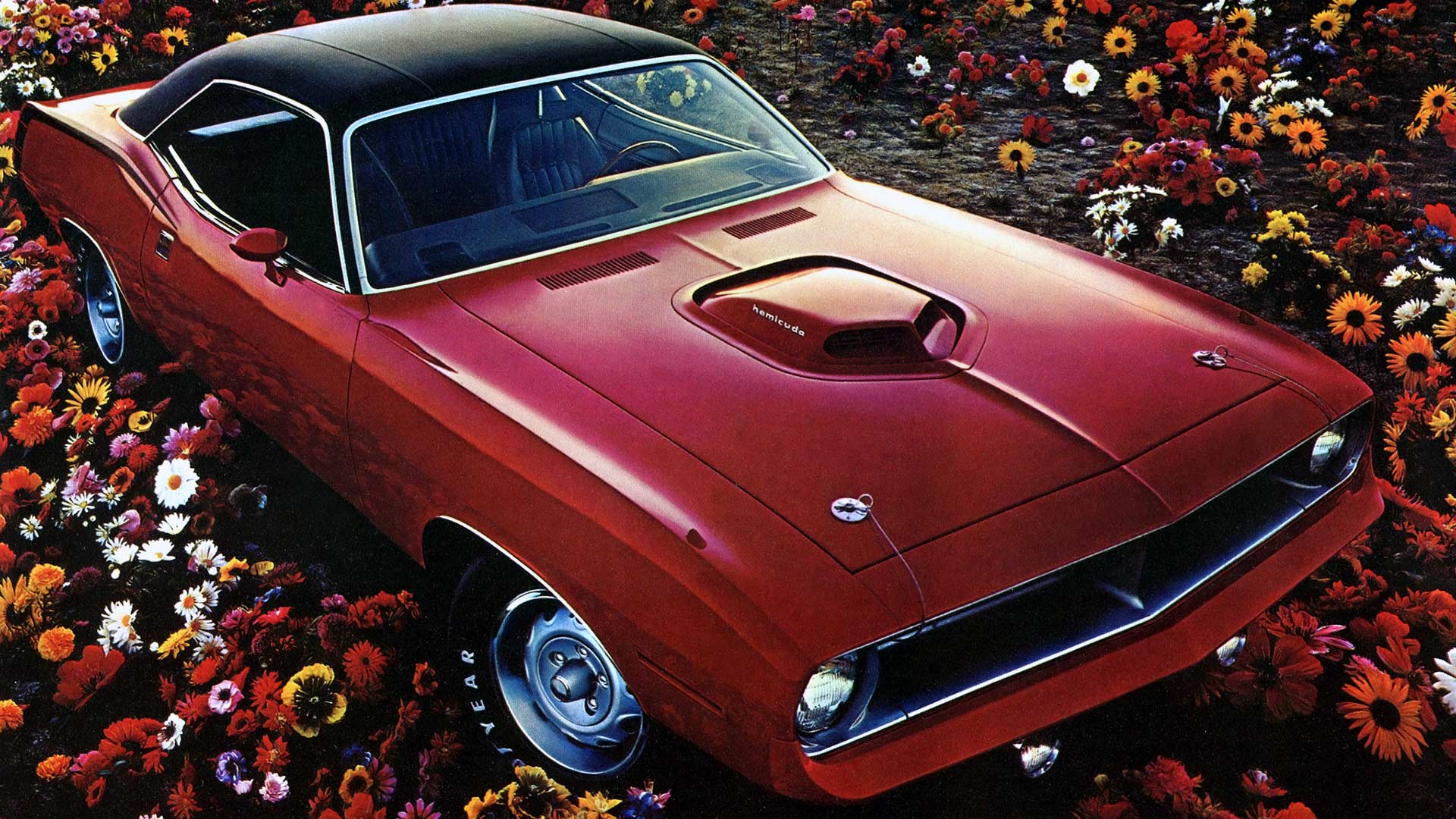 50 years of the Dodge Challenger