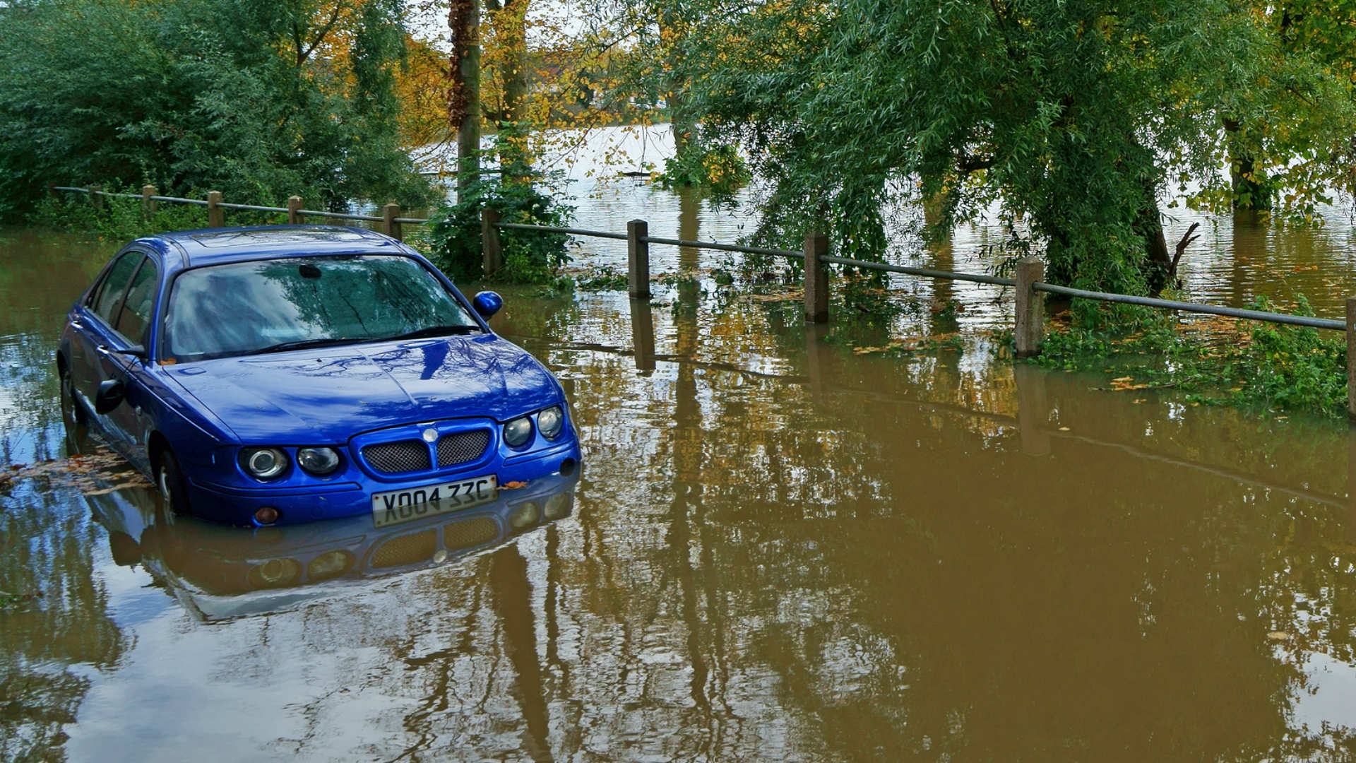 MG in flood water