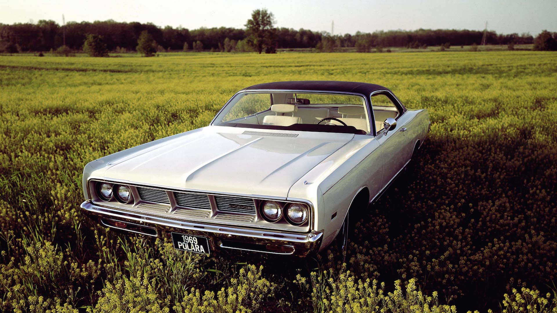 1969 Dodge Polara – 220.8 inches