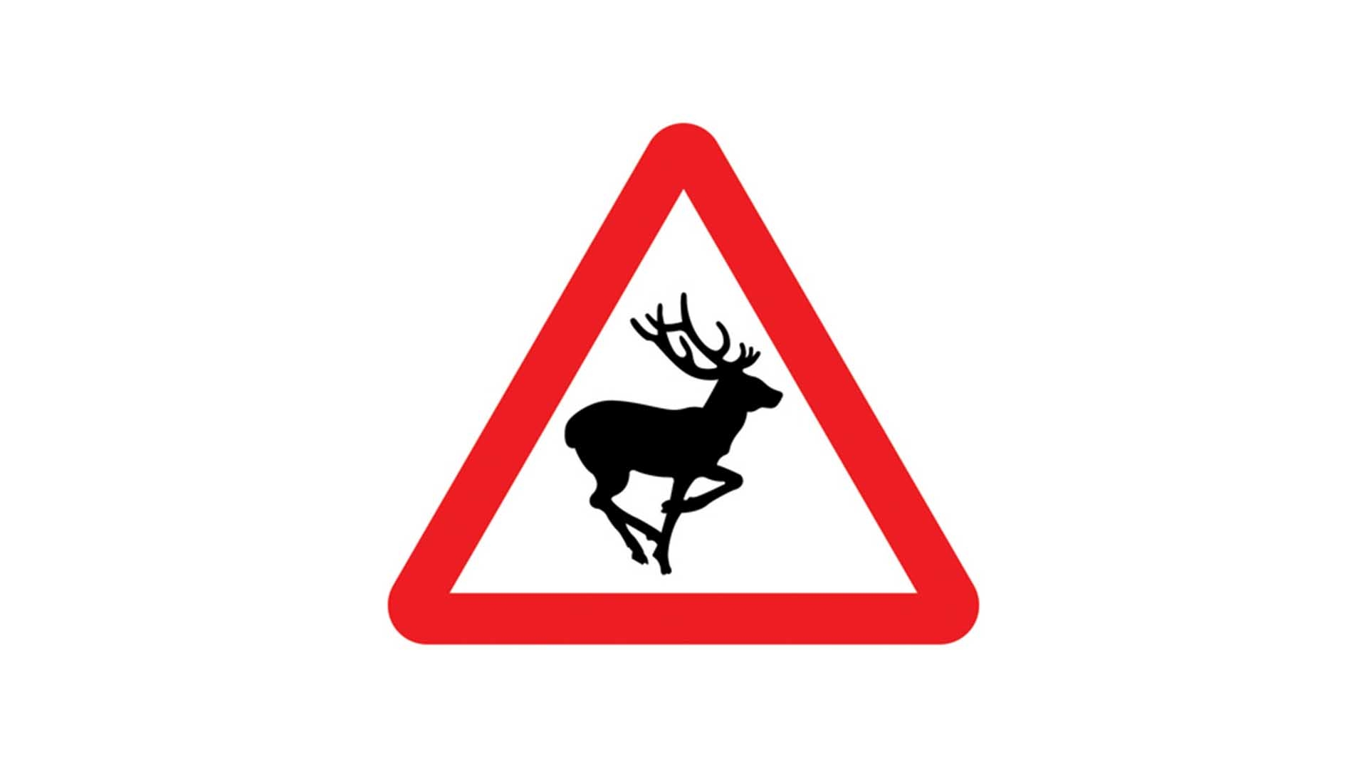 Wild animals road sign