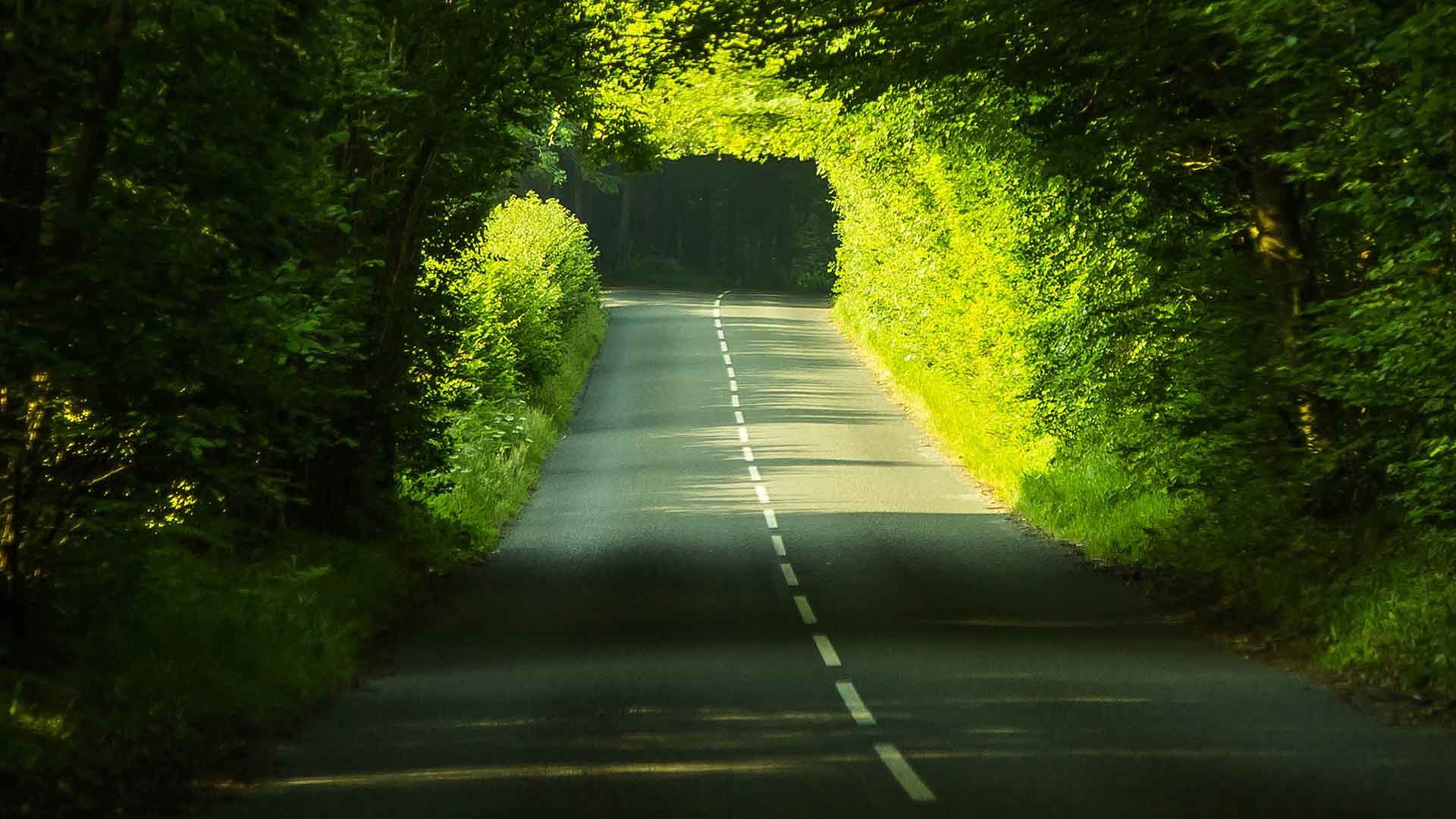 Dorset road