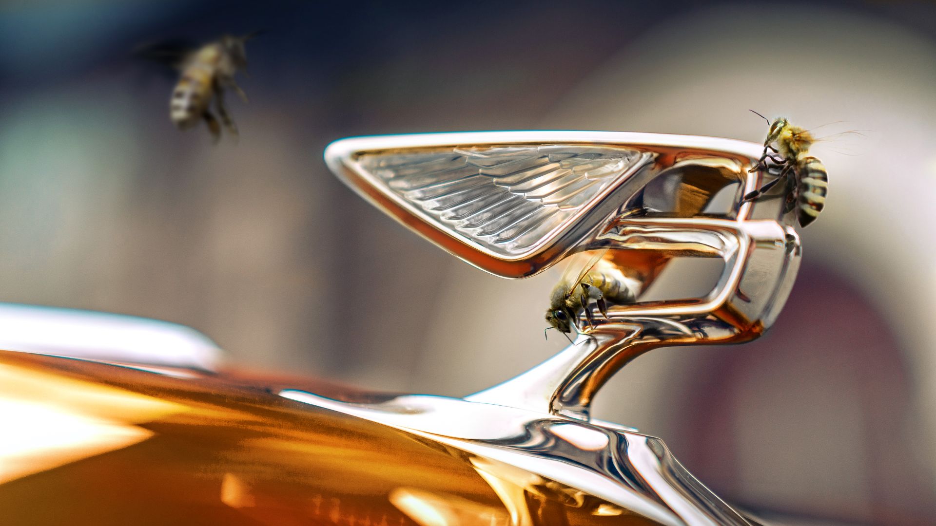Bentley has actual flying bees