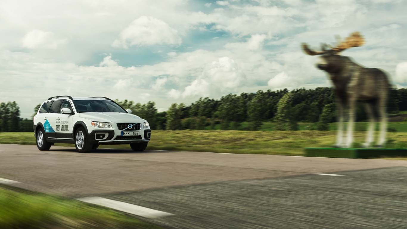 Volvo Animal Detection