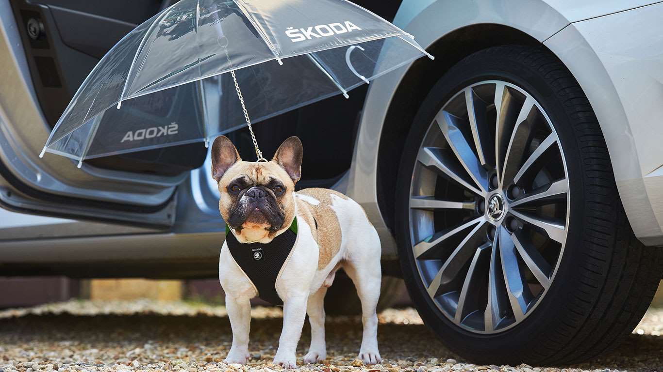 Skoda Simply Clever dog umbrella