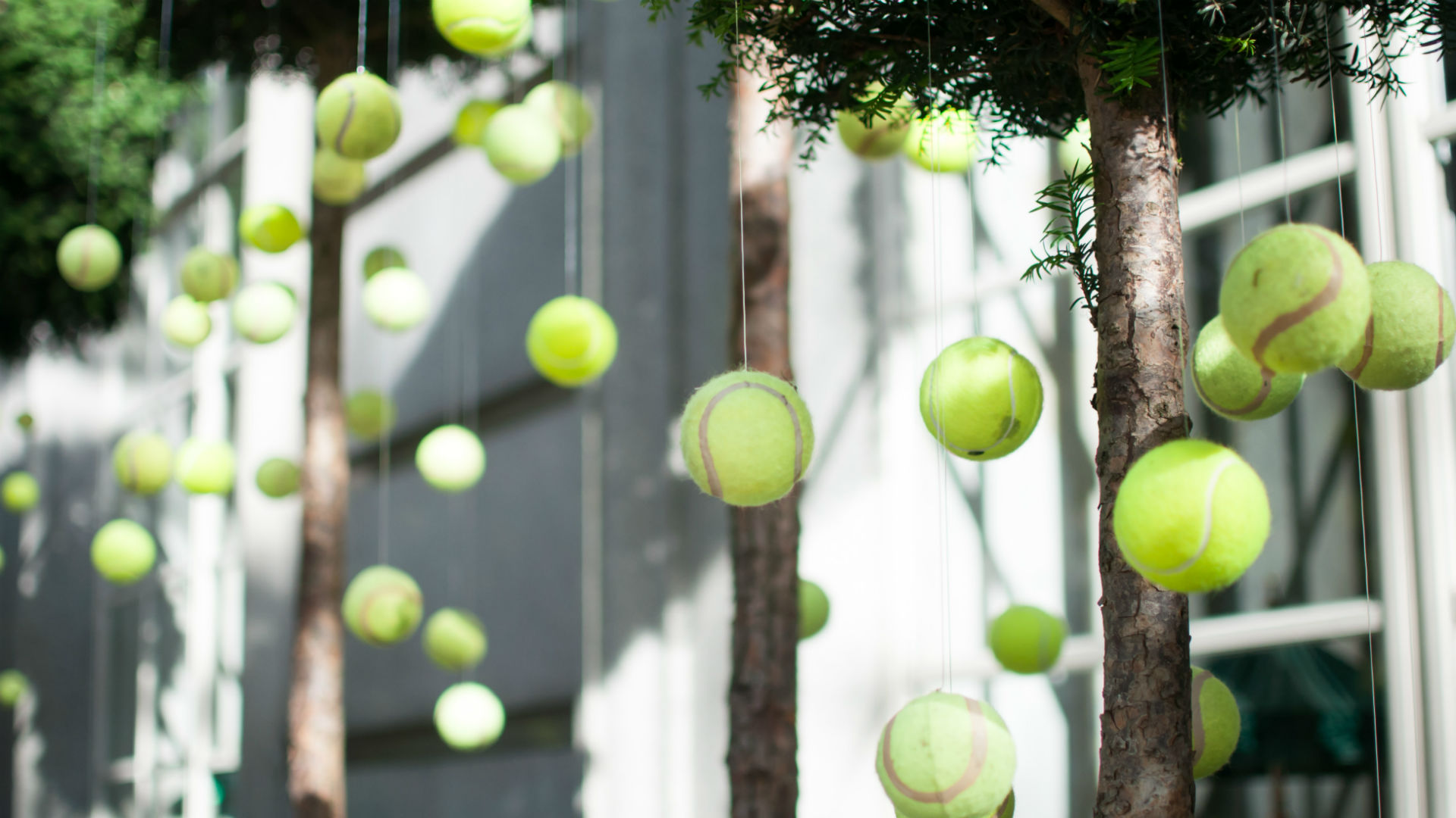 Tennis ball