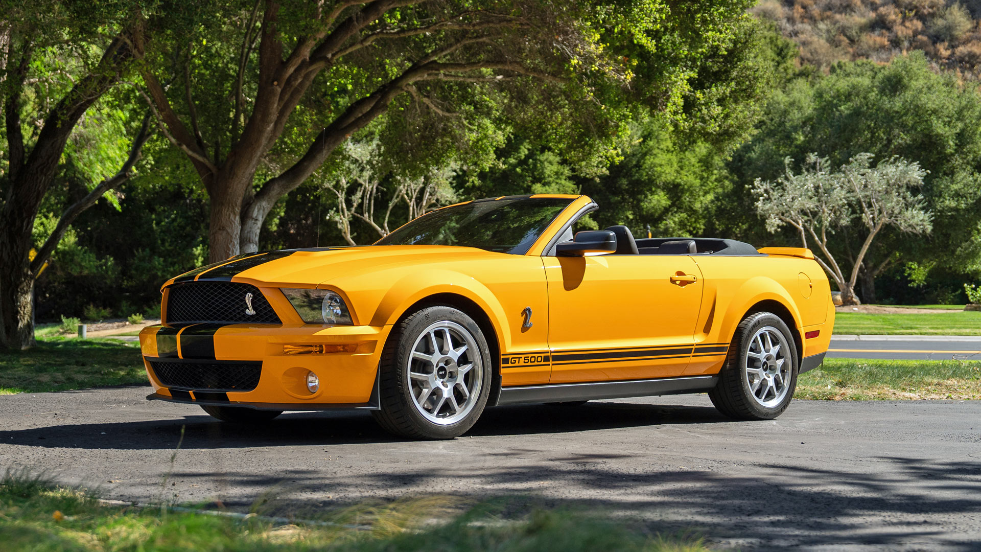 2008 Ford Shelby GT500 Convertible