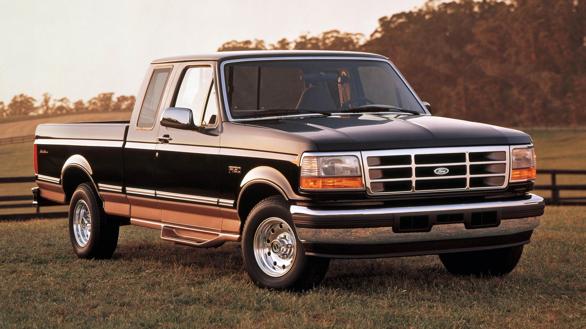 1995 Ford F-150 XLT Eddie Bauer