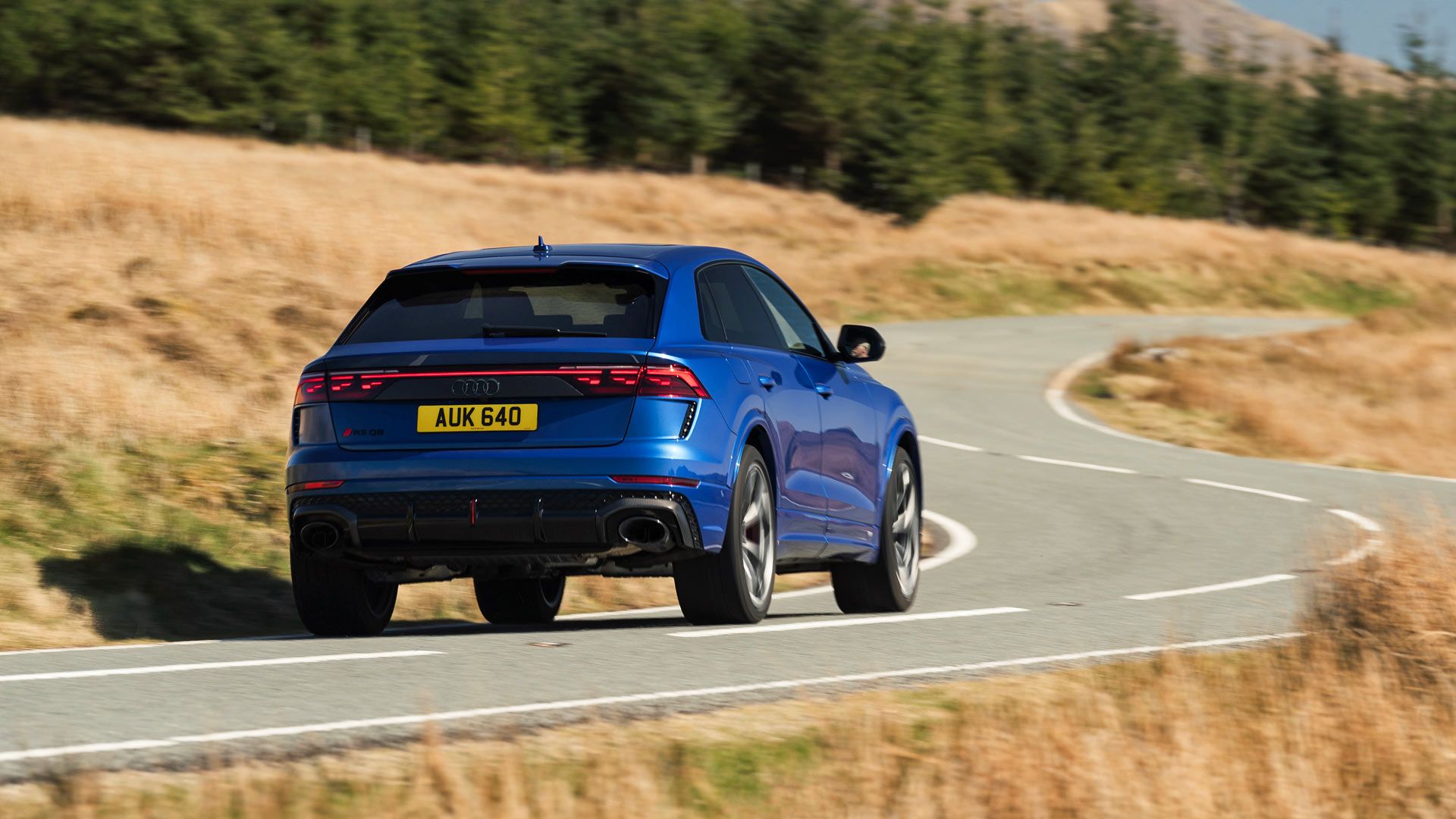 Audi RS Q8 Performance