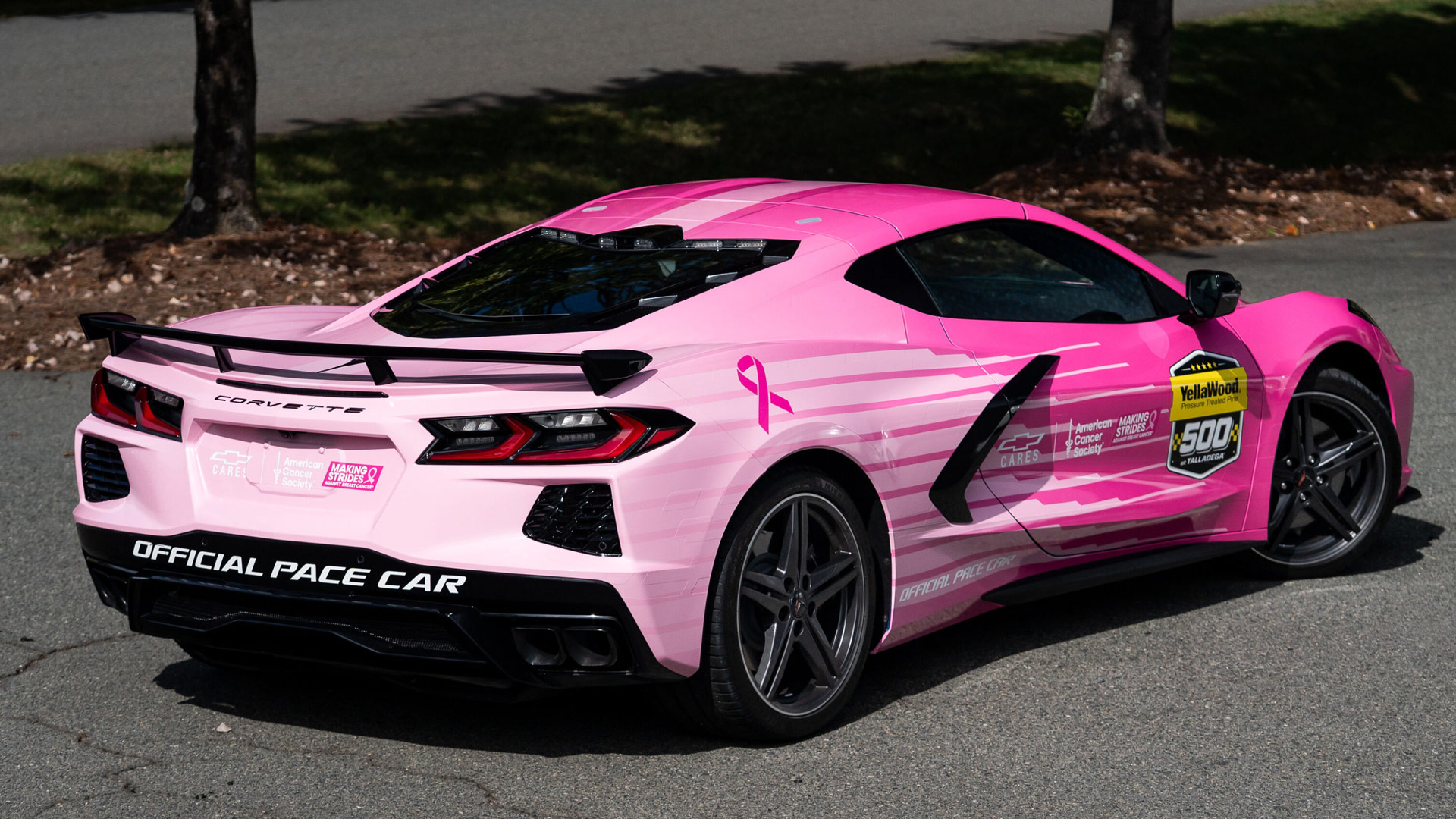 Chevrolet Corvette Pink Pace Car
