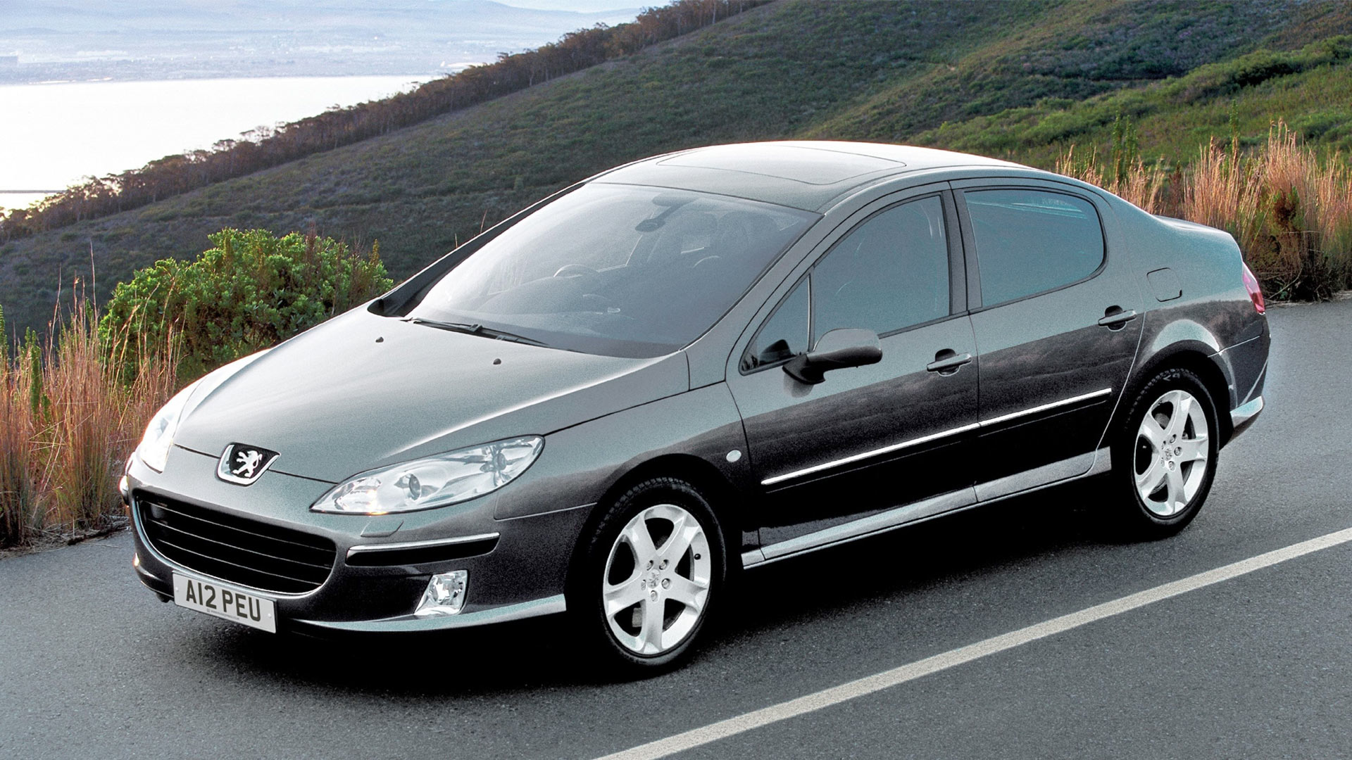 Peugeot 407
