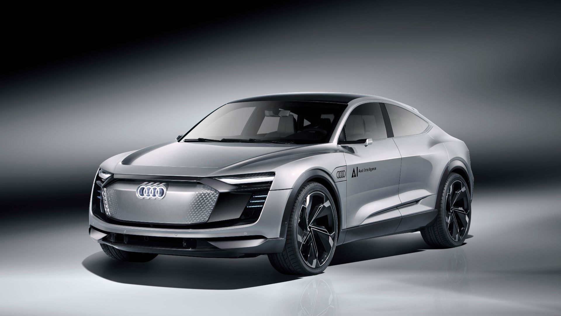 Audi Elaine