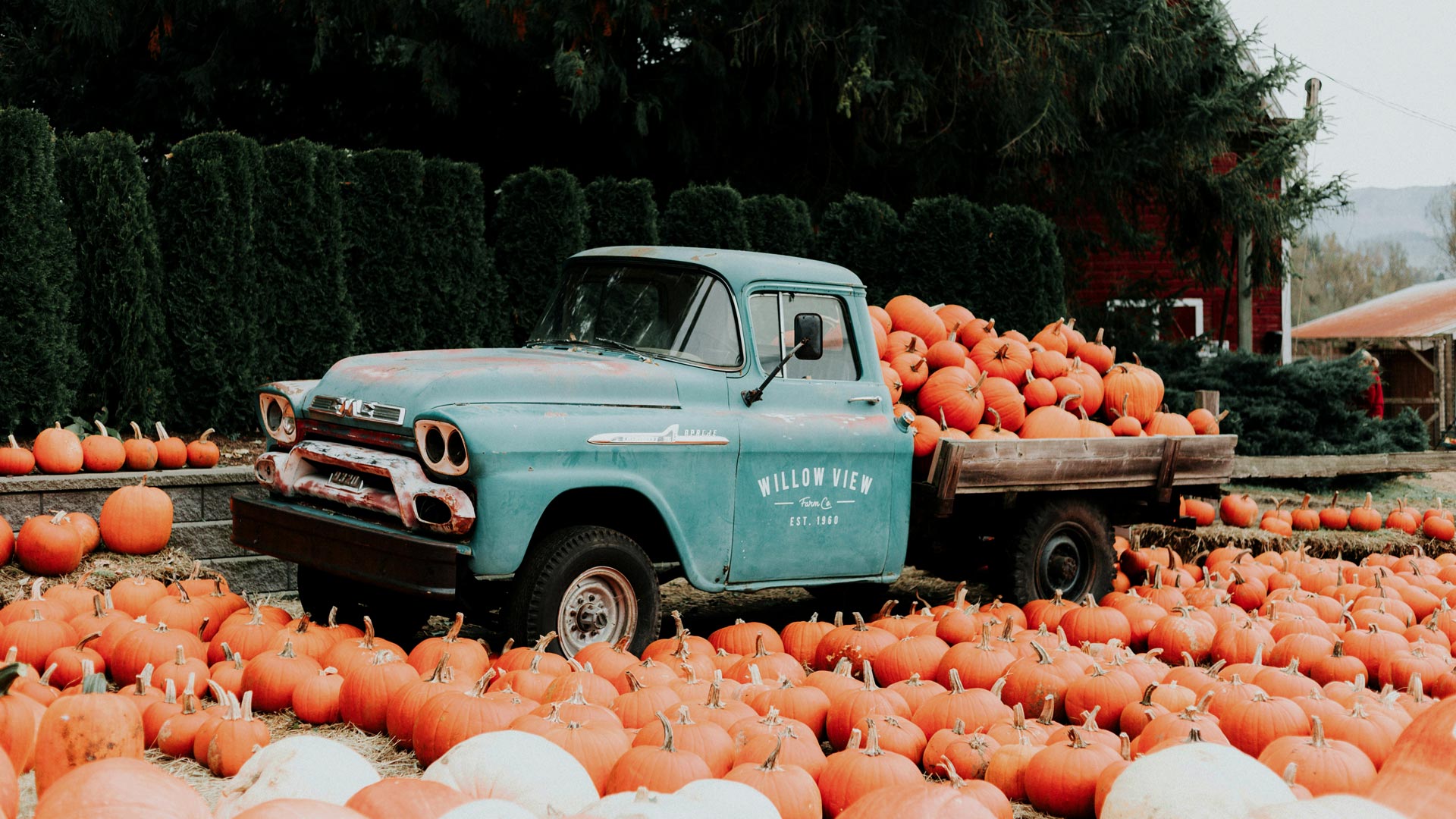 Internet searches for ‘Halloween days out’ have increased by 3,100 percent in three months, as the event grows in stature