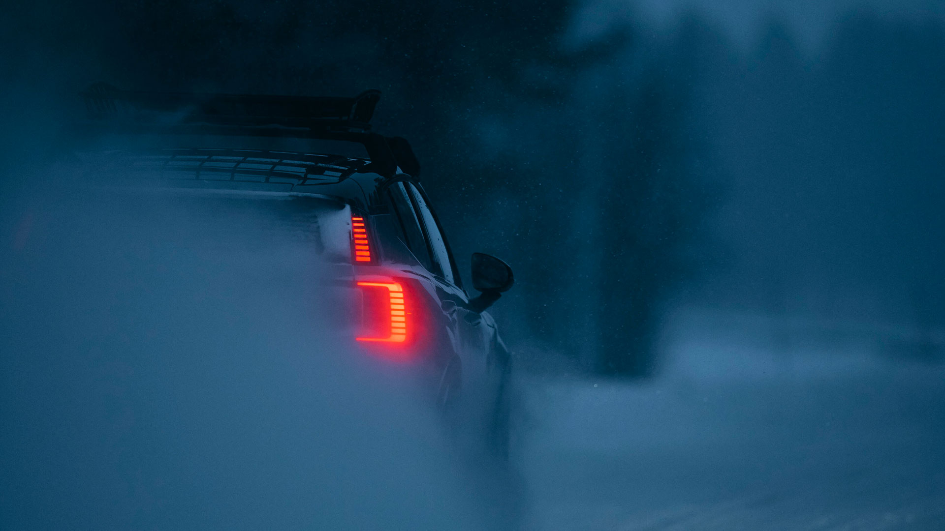 Over half of animal-related car crashes happen in darkness