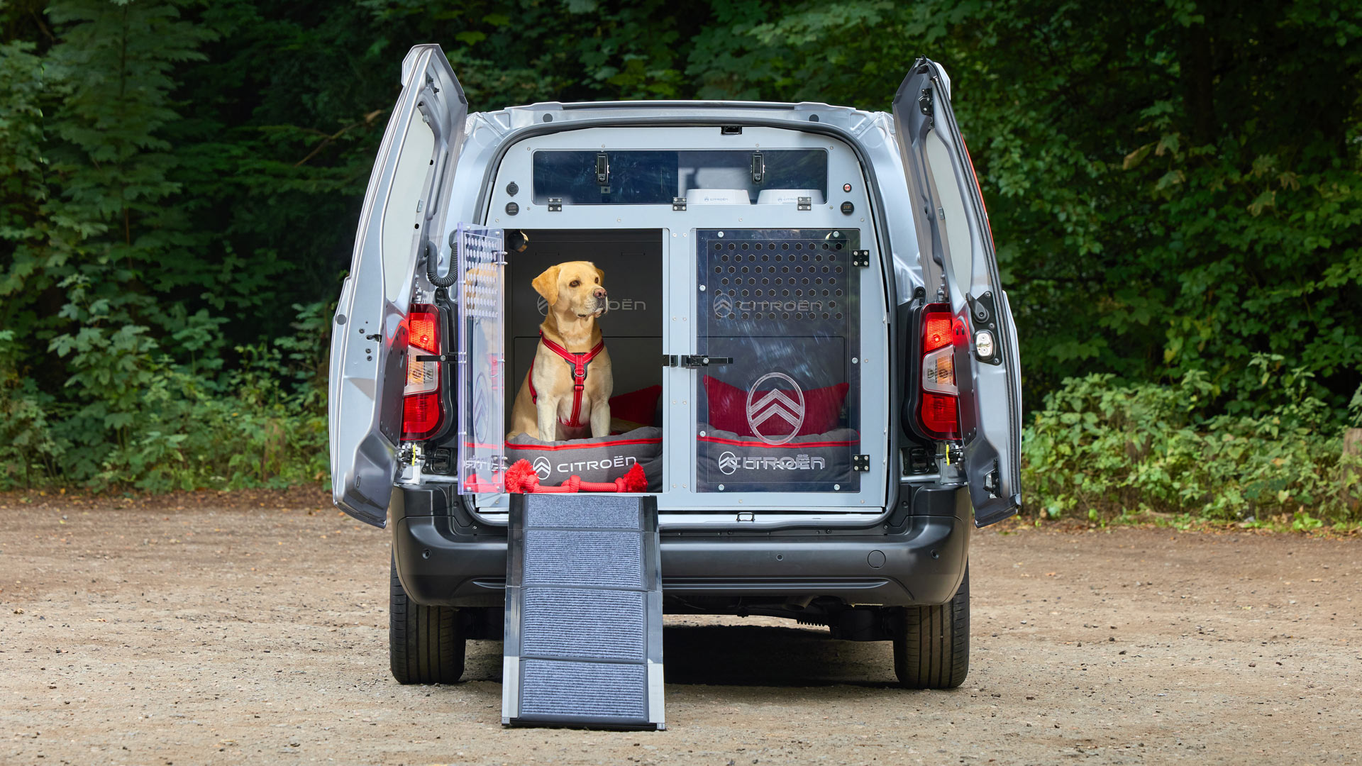 Citroen Pawlingo Dog Van