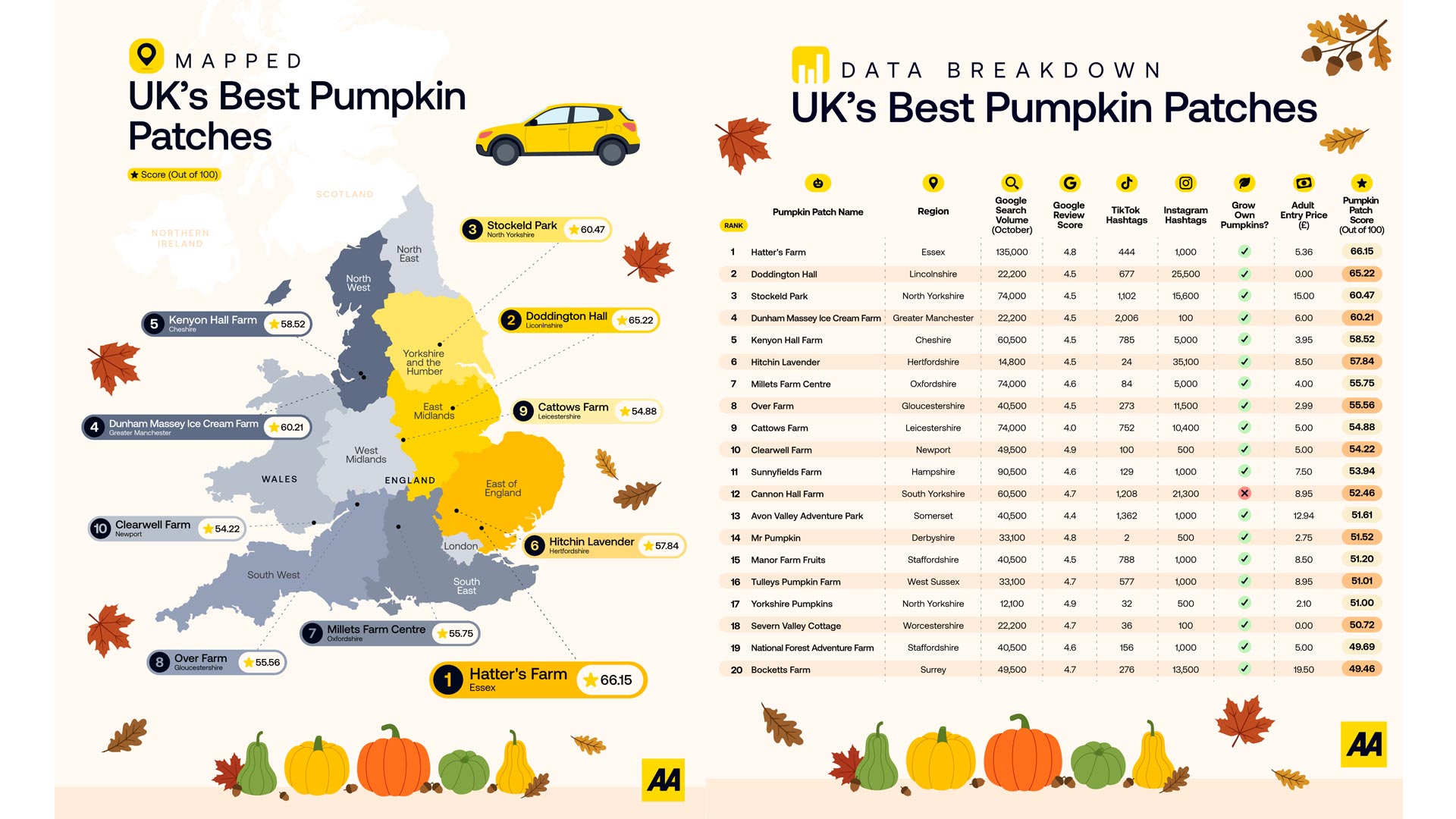 Pumpkin Picking Safety Tips